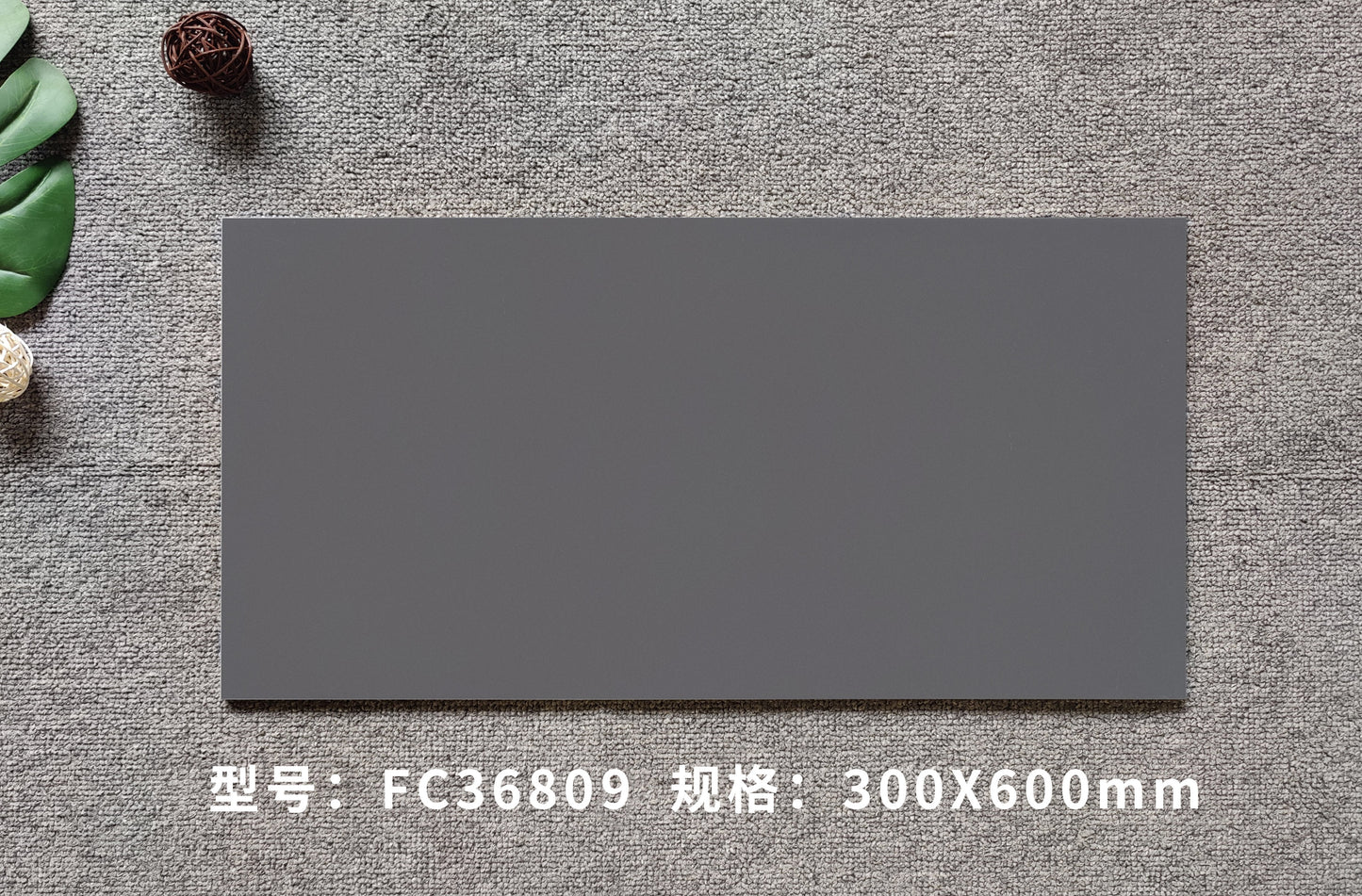 FC36809